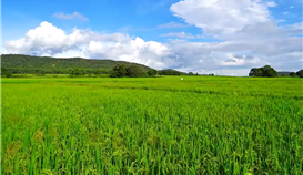 ��������|���󹲽��������������������������ܳ��������ʡ�