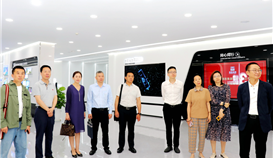 ��ģ�����߽�ob�羺��(�й�)���Ӿ���ƽ̨������������